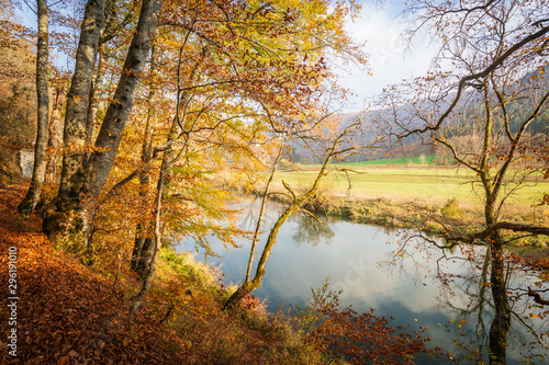 Jesień krajobraz z lasem i łąką w jaskrawym świetle słonecznym