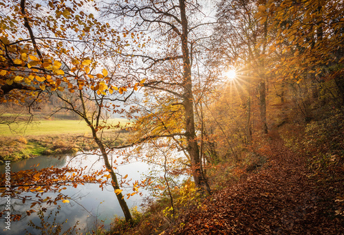 Landschaft im Herbst mit Wald und Wiese bei strahlendem Sonnenschein