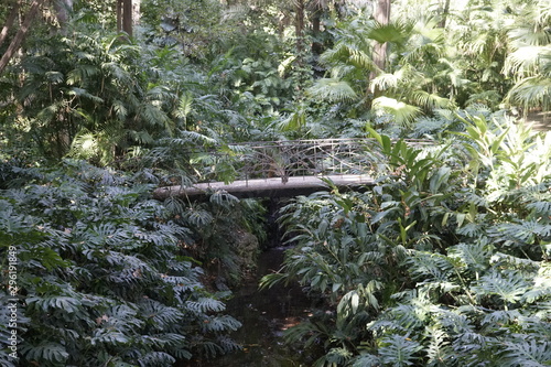 puente emboscado jardin botanico la concepcion malaga andalucia españa