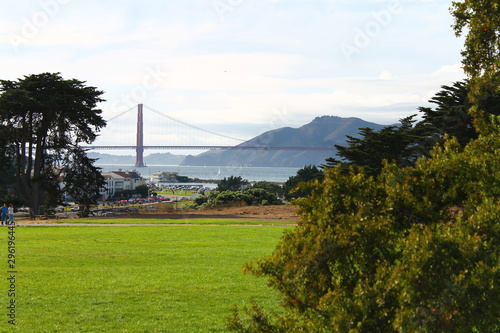 The green park and the Golden Gate © willeye
