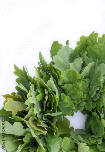 Wreath of oak leaves. Isolated on white. Latvian Midsummer holiday symbol. Wreath of oak leaves is the most used male head decor for Latvian National Holiday called “Jani” (Man's name). Place for text
