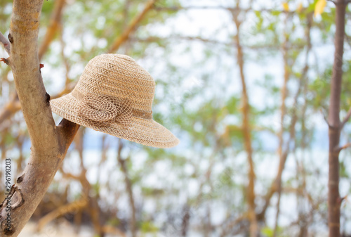 A Beautiful summer hat in the tree.