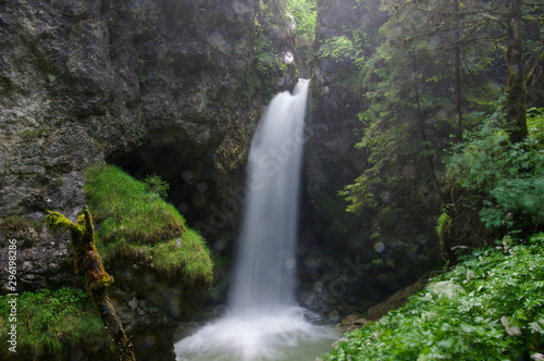 waterfall in forest