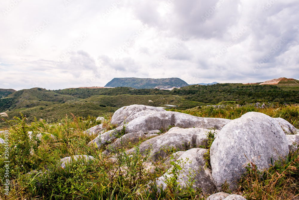 平尾台のススキ