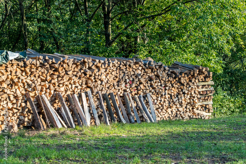 Baumstämme zu Brennholz gesägt und gestapelt