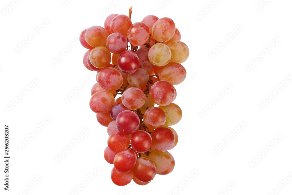 wild grapes isolated on a white background. Food