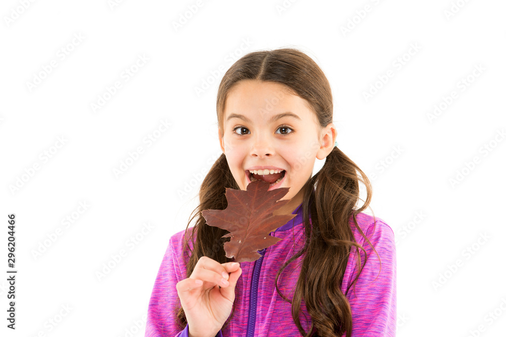 Find inspiration in nature. Inspiring season. Good mood. Kid girl cute face hold leaf. Smiling child with autumn leaves. Autumn time. Little girl welcome autumn season. Small girl celebrating fall Find inspiration in nature. Inspiring season. Good mood. Kid girl cute face hold leaf. Smiling child with autumn leaves. Autumn time. Little girl welcome autumn season. Small girl celebrating fall
