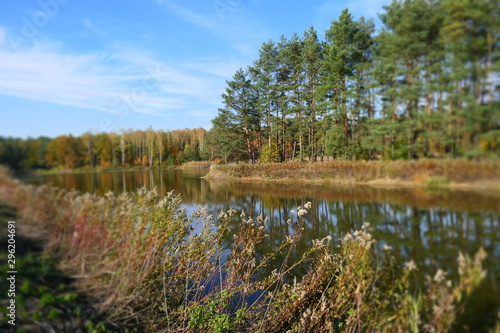 Jesienny pejzaż nad jeziorem w lesie