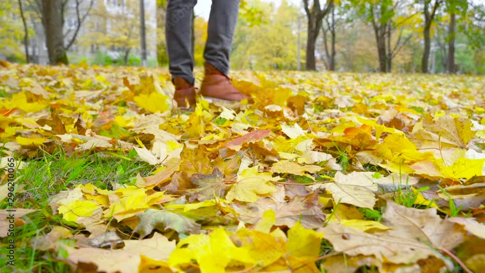A man in leather shoes is walking in the park. Beautiful autumn landscape with colorful foliage. Fall season. Outdoor city walk concept. Slow motion A man in leather shoes is walking in the park. Beautiful autumn landscape with colorful foliage. Fall season. Outdoor city walk concept. Slow motion