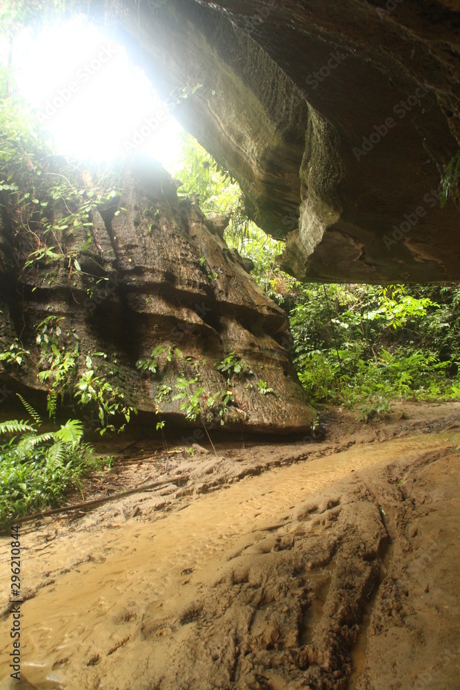 Obraz premium Cave in Sumatran Rainforest