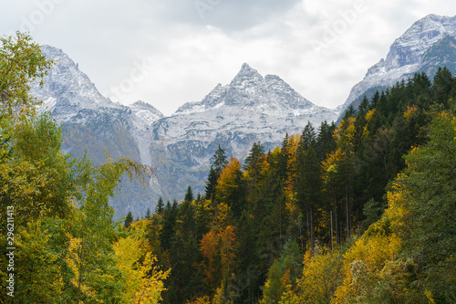 Autumn Forest and Mountains on a Cloudy Day