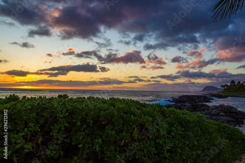 Sunset Behind the Beach Bushes