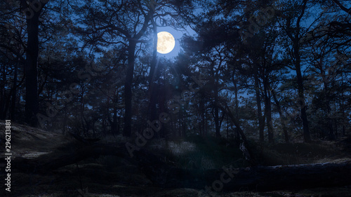 Full moon over a forest on the German Baltic Sea island Ruegen sends its light through the trees. In the foreground is a large tree trunk. © wewi-creative