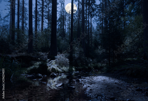 Moonlight in the forest. A creek in a forest in the middle of Germany. It is a autumn night.The full moon shines in the backlight in the forest and on the plants and the water. Very romantic.