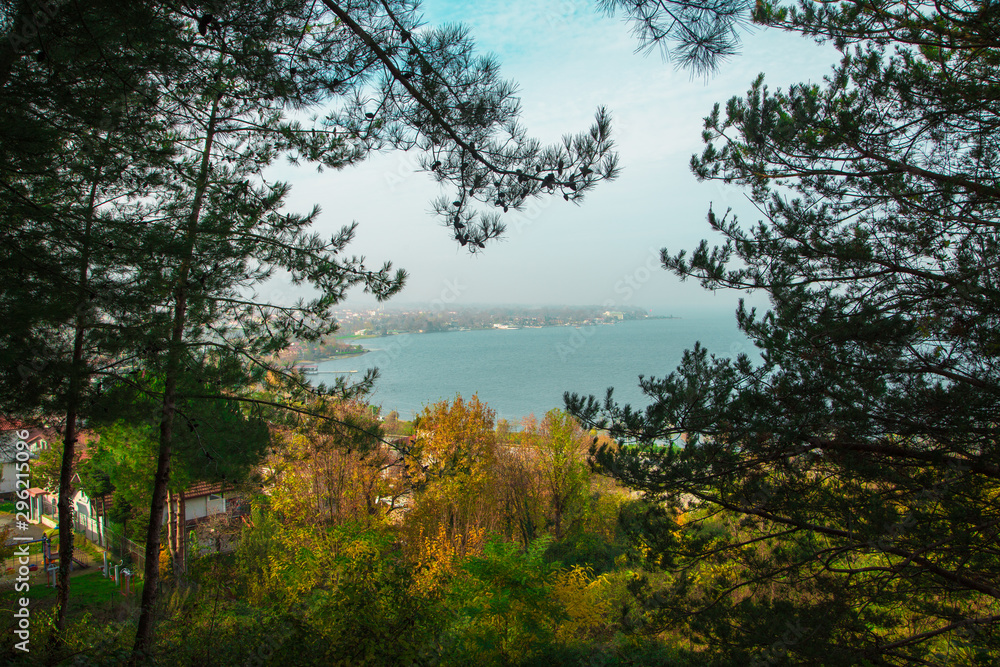 lake view and surrounding tree branches lake view and surrounding tree branches