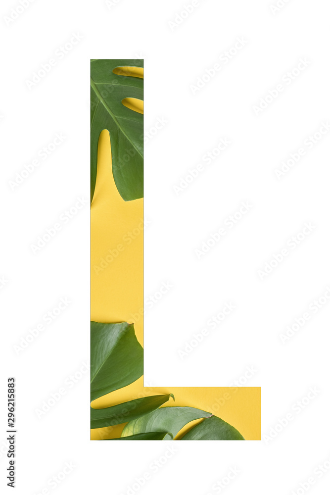 Tropical flower font Alphabet L made of real alive flowers monstera on yellow background with paper cut shape of letter. Collection of flora font for your unique decoration in summer Tropical flower font Alphabet L made of real alive flowers monstera on yellow background with paper cut shape of letter. Collection of flora font for your unique decoration in summer