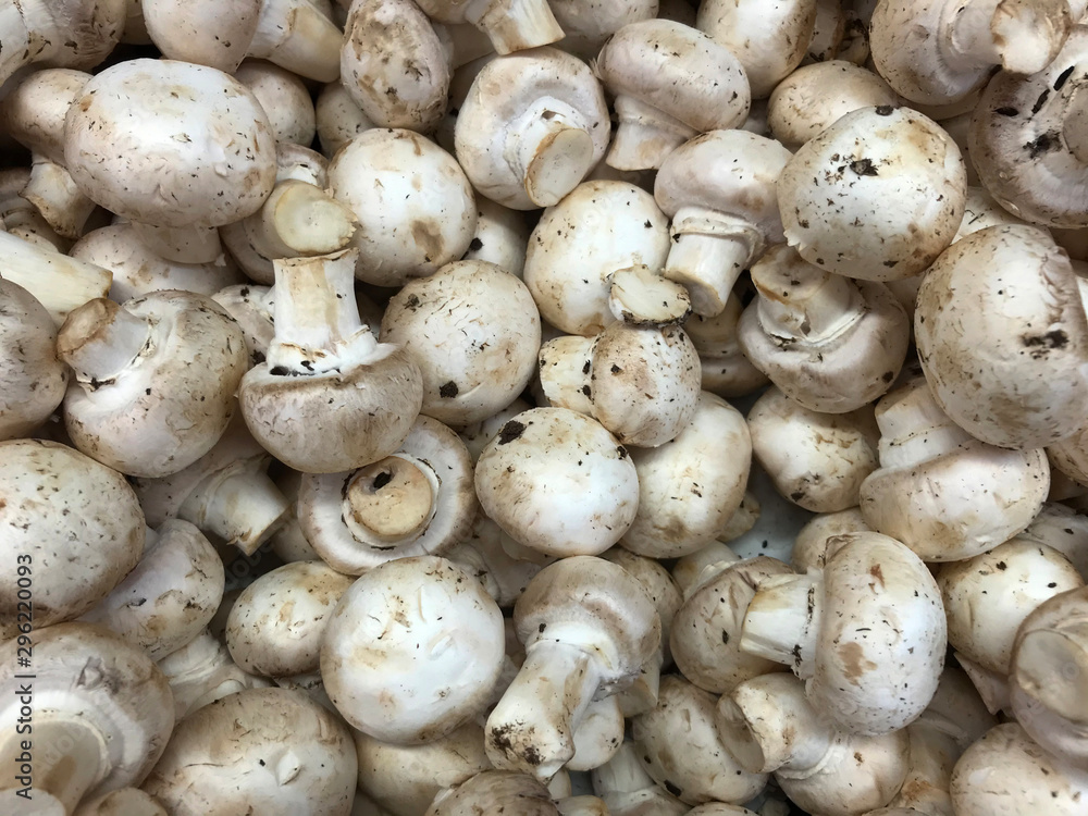 Mushrooms shot from above