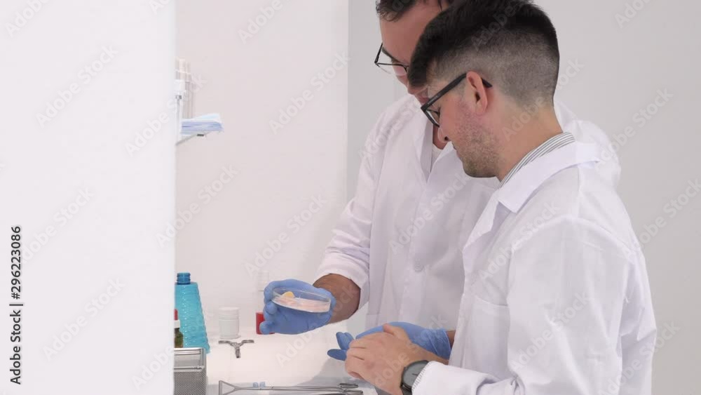 two pharmaceutical workers invent new medicines in the laboratory two pharmaceutical workers invent new medicines in the laboratory