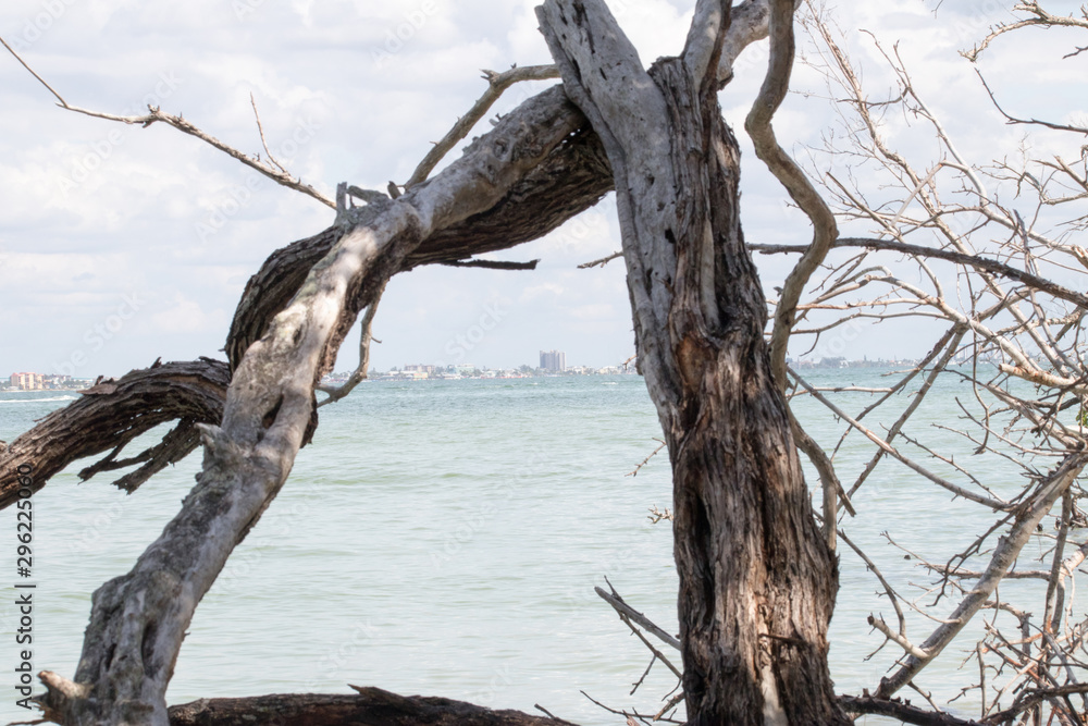 Florida's Sanibel Island