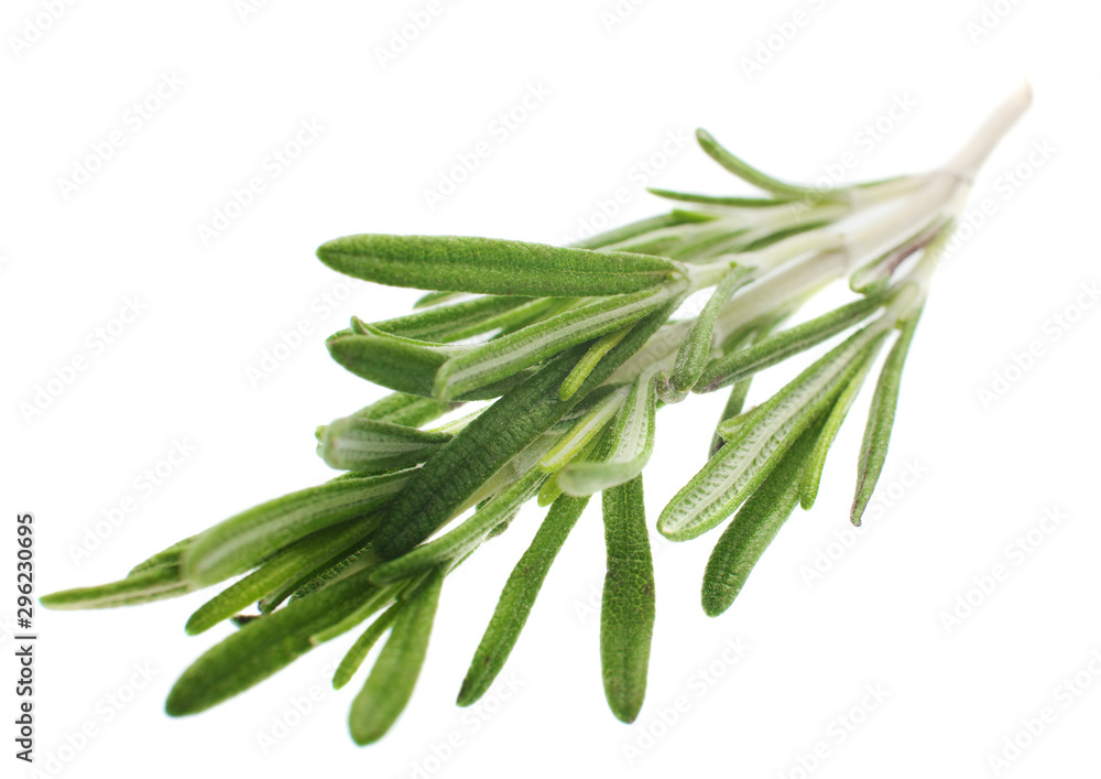 Sprig of rosemary on a white background. Isolation. Sprig of rosemary on a white background. Isolation.