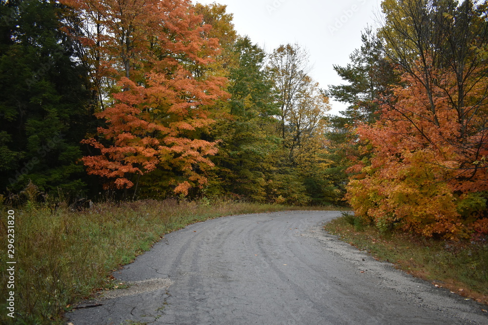 Fall colours