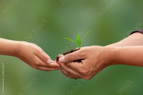 Hands of child and father holding green plant seedling with black fertile soil. Concept of care and protect planet, tree, environment, family and generation love. Image.