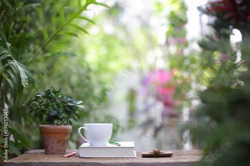 White coffee cup with small plant in old brown pot with white thick book on wooden table at outdoor with nature bokeh background © paladin1212