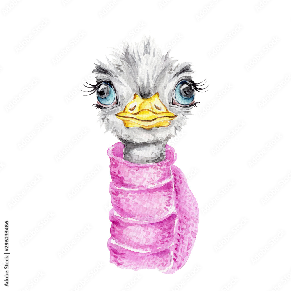 Cute cartoon ostrich in purple scarf; watercolor hand draw illustration;  with white isolated background Stock Illustration | Adobe Stock