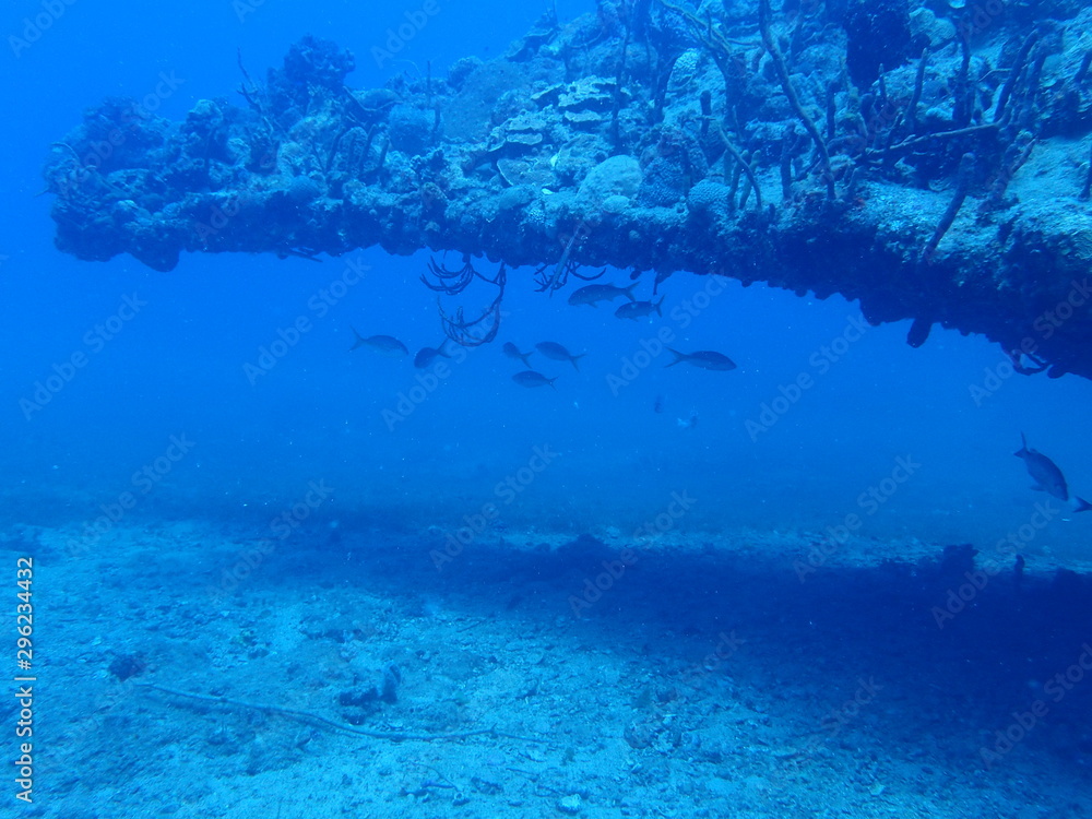 Obraz premium Wreck of the Rhone