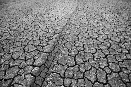 The land that is dry and cracked in summer