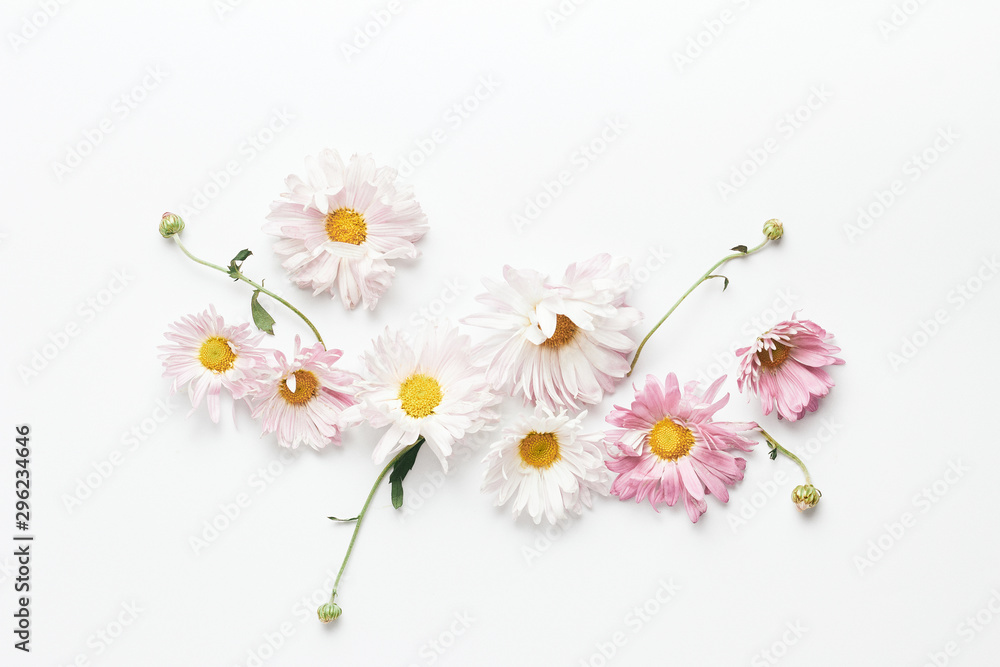 Obraz premium floral composition. beautiful flowers, buds and leaves of chrysanthemums on a white background. flat lay, top view, minimal concept