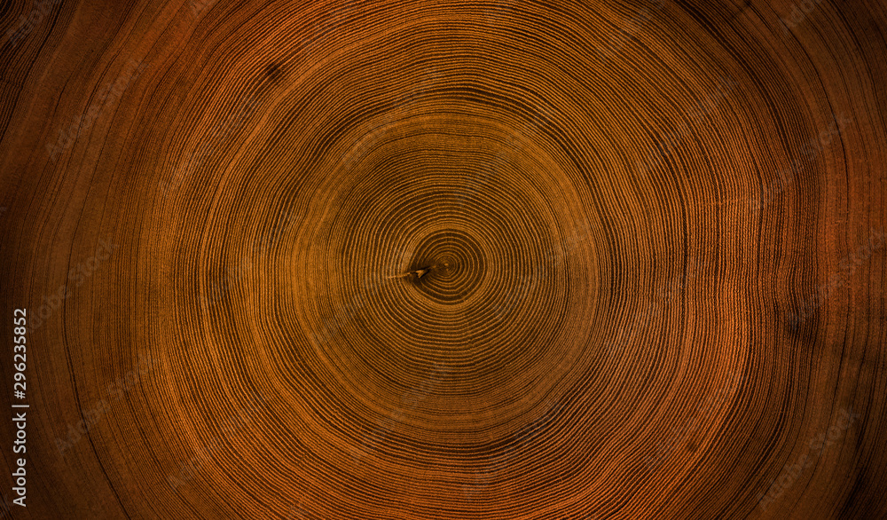 Old wooden oak tree cut surface. Detailed warm dark brown and orange tones of a felled tree trunk or stump. Rough organic texture of tree rings with close up of end grain. Old wooden oak tree cut surface. Detailed warm dark brown and orange tones of a felled tree trunk or stump. Rough organic texture of tree rings with close up of end grain.