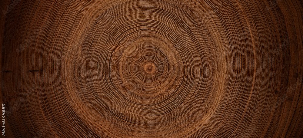 Old wooden oak tree cut surface. Detailed warm dark brown and orange tones of a felled tree trunk or stump. Rough organic texture of tree rings with close up of end grain. - obrazy, fototapety, plakaty 