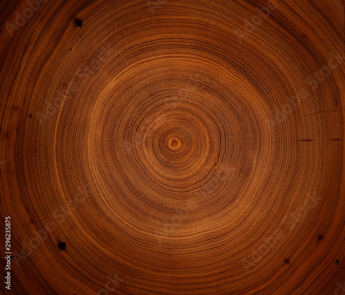 Old wooden oak tree cut surface. Detailed warm dark brown and orange tones of a felled tree trunk or stump. Rough organic texture of tree rings with close up of end grain.