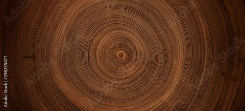 Panel kuchenny z motywem Old wooden oak tree cut surface. Detailed warm dark brown and orange tones of a felled tree trunk or stump. Rough organic texture of tree rings with close up of end grain.