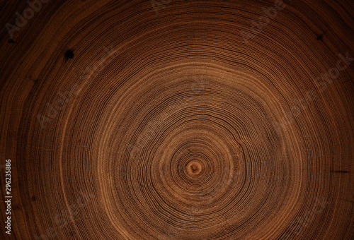 Fototapeta Naklejka Na Ścianę i Meble -  Old wooden oak tree cut surface. Detailed warm dark brown and orange tones of a felled tree trunk or stump. Rough organic texture of tree rings with close up of end grain.