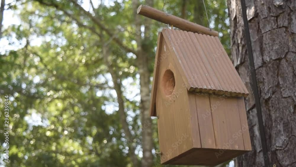 Medium shot of a birdhouse swaying in the wind. Medium shot of a birdhouse swaying in the wind.