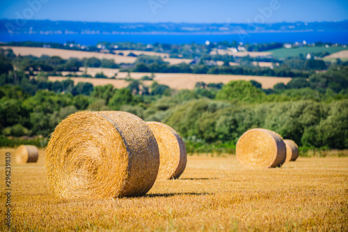 Valokuvatapetti Landscape with twisted haystack . Brittany. France