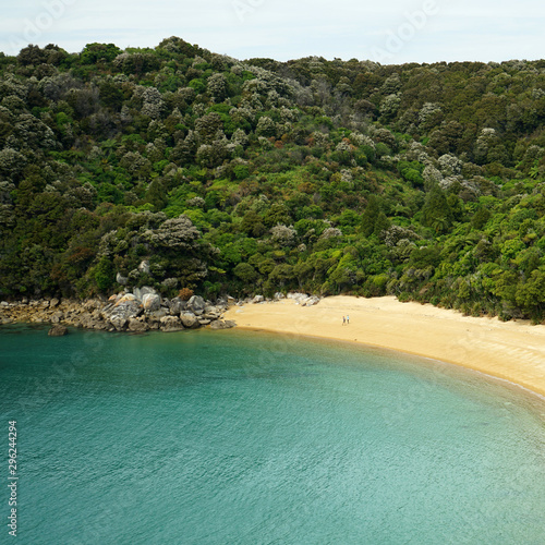 New Zealand Forest and Beach Bay 