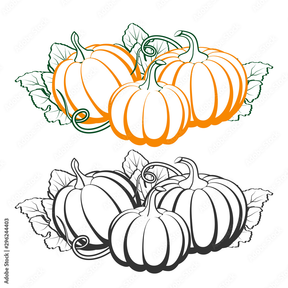 Pumpkins with leaves, silhouette on white background. Pumpkins with leaves, silhouette on white background.