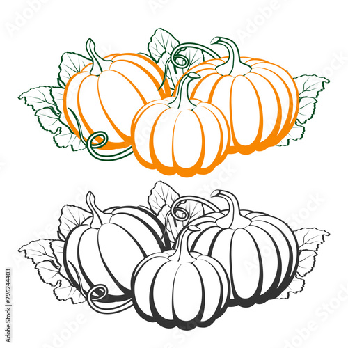 Pumpkins with leaves, silhouette on white background.