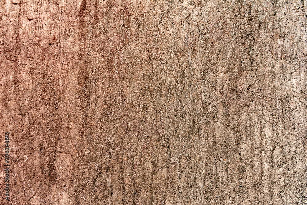 Fototapeta premium Texture of a concrete wall with cracks and scratches which can be used as a background