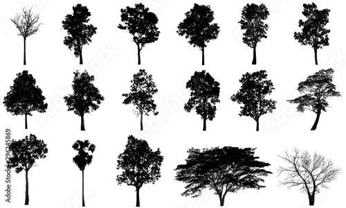 Obraz na płótnie collections black tree isolated. silhuette tree isolated on white background. w salonie