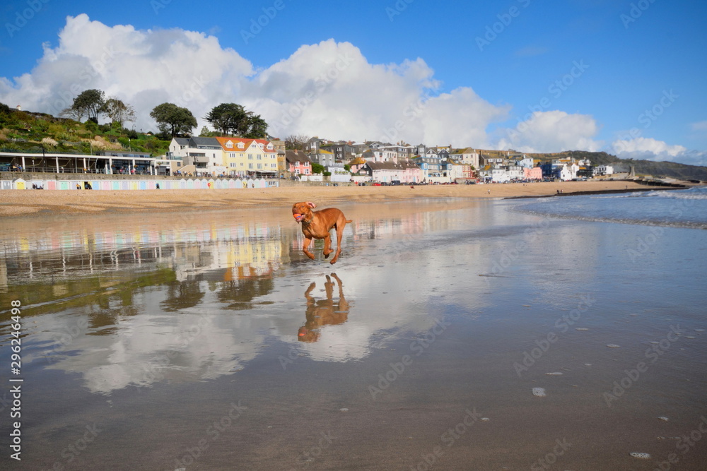 Sandy beach in Lime Regis, Dorset during low tide taken from low angle Sandy beach in Lime Regis, Dorset during low tide taken from low angle