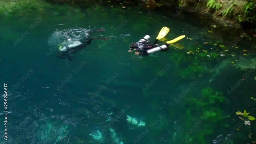 Two divers preparing to dive into a cenote Two divers preparing to dive into a cenote