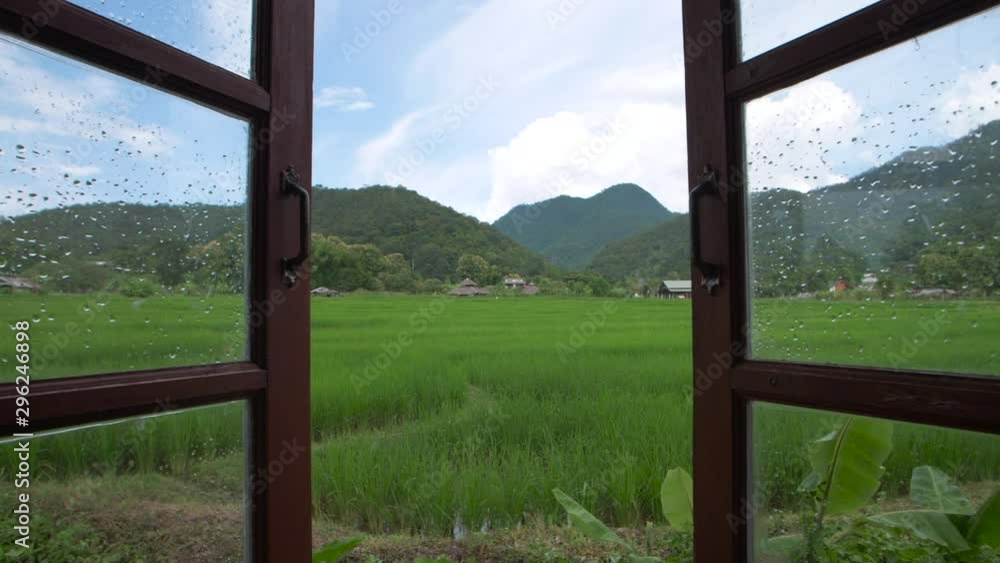Looking out of open bedroom window onto lush meadow of green rice paddy Looking out of open bedroom window onto lush meadow of green rice paddy