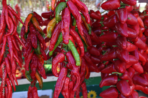 Organic, fresh farm grown hot pepper.