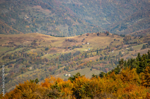 Yellow autumn forest in the mountains