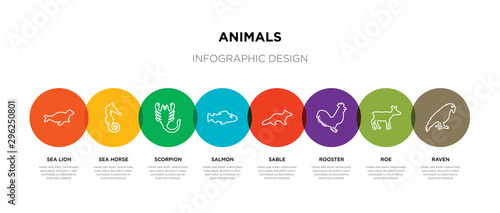 8 colorful animals outline icons set such as raven, roe, rooster, sable, salmon, scorpion, sea horse, sea lion