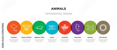 8 colorful animals outline icons set such as sea urchin, seagull, seahorse, seaweed, shoal, siberian tiger, snow leopard, stingray